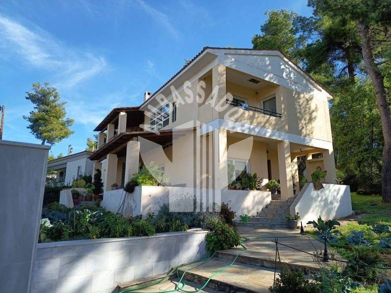 Εξωτερικός χώρος