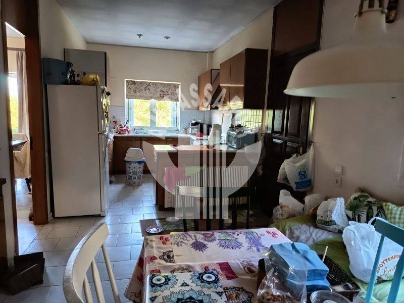 Ύπαρξη ανθρώπου