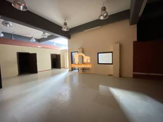 ΒΙ. ΠΑ. Ωραιοκάστρου, Βιοτεχνικός χώρος