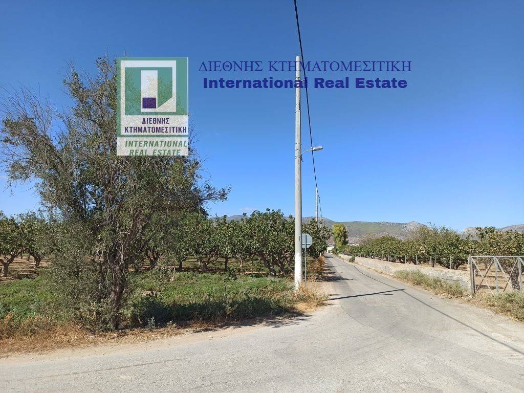 GONIAKO AGROTEMACHIO ME PROSOPSE 110 m. SE KYRIA DEMOTIKE ODO