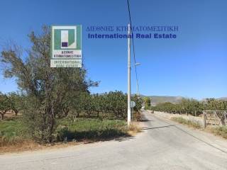 GONIAKO AGROTEMACHIO ME PROSOPSE 110 m. SE KYRIA DEMOTIKE ODO