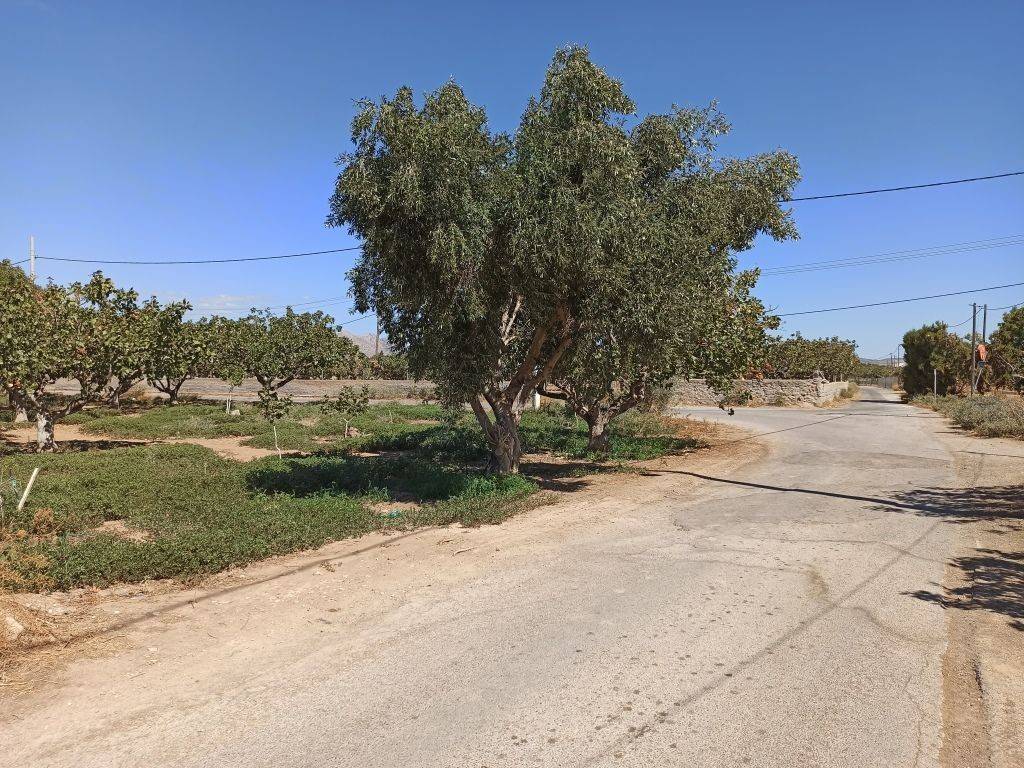 GONIAKO AGROTEMACHIO ME PROSOPSE 21 m. SE AGROTIKE ODO