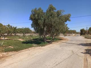 GONIAKO AGROTEMACHIO ME PROSOPSE 21 m. SE AGROTIKE ODO