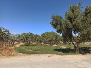 TMEMA TOY AGROTEMACHIOY