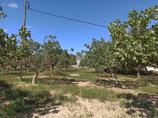 TMEMA TOY AGROTEMACHIOY