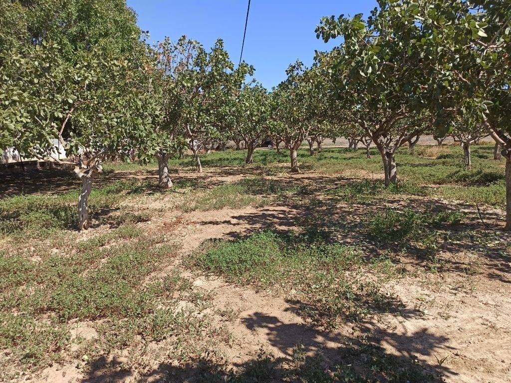 TMEMA TOY AGROTEMACHIOY