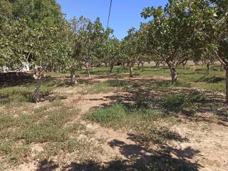 TMEMA TOY AGROTEMACHIOY