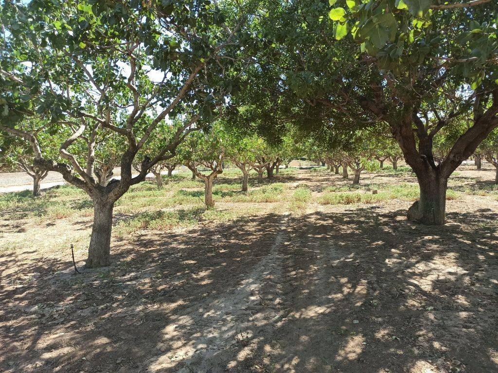 TMEMA TOY AGROTEMACHIOY