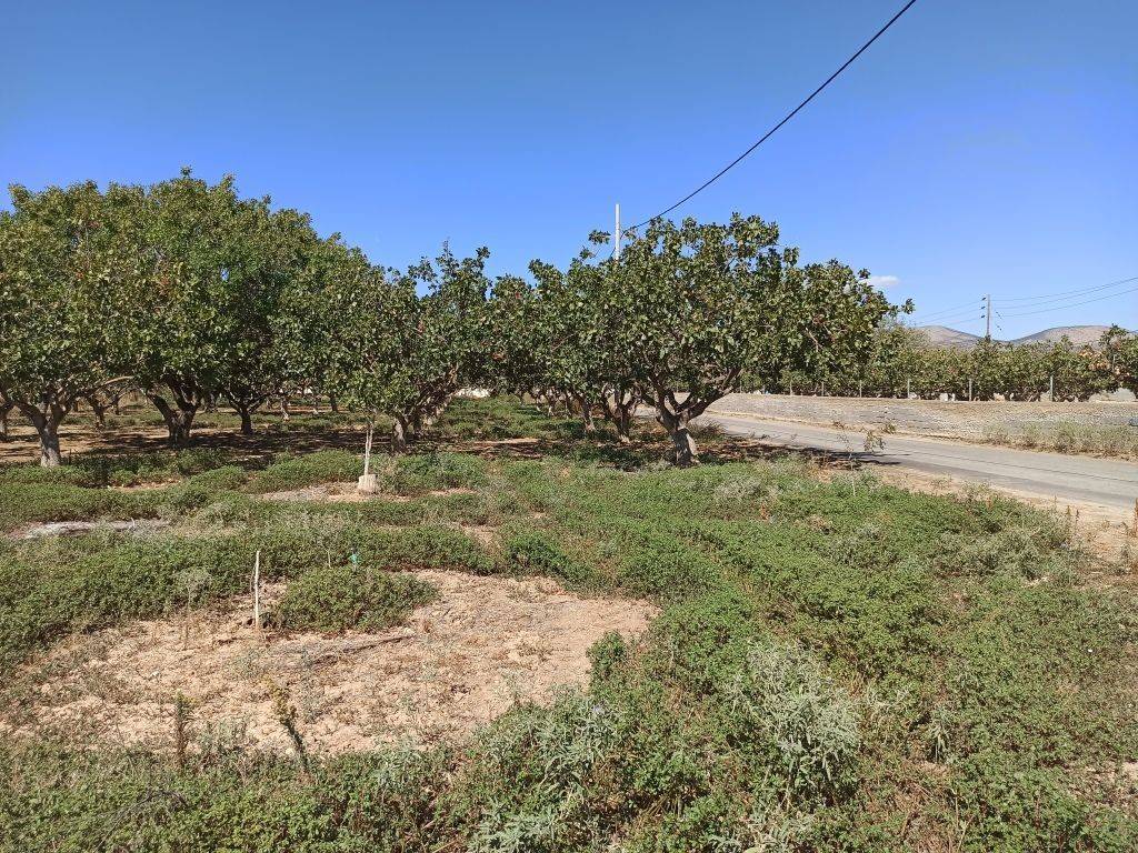 TMEMA TOY AGROTEMACHIOY