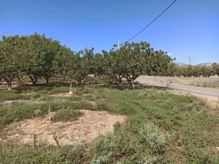 TMEMA TOY AGROTEMACHIOY