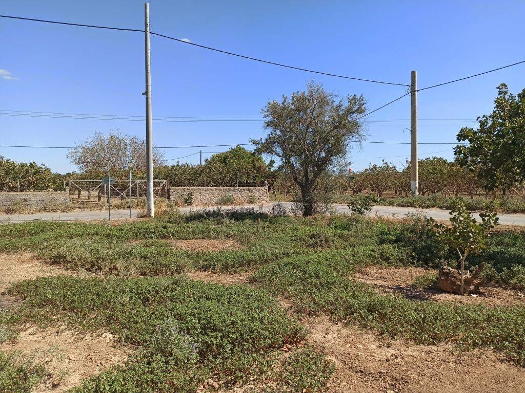 TMEMA TOY AGROTEMACHIOY