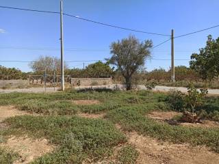 TMEMA TOY AGROTEMACHIOY