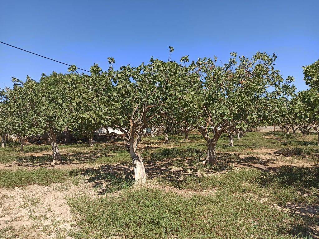 TMEMA TOY AGROTEMACHIOY