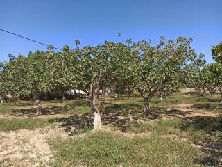 TMEMA TOY AGROTEMACHIOY