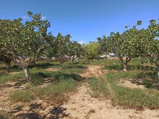 TMEMA TOY AGROTEMACHIOY