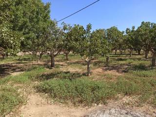 TMEMA TOY AGROTEMACHIOY