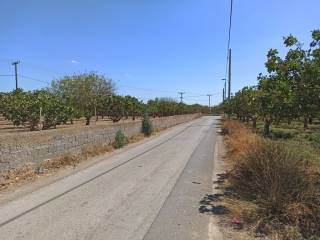 GONIAKO AGROTEMACHIO ME PROSOPSE 110 m. SE KYRIA DEMOTIKE ODO