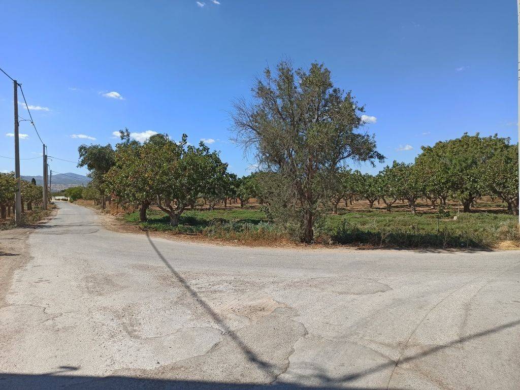 GONIAKO AGROTEMACHIO ME PROSOPSE 21 m. SE AGROTIKE ODO