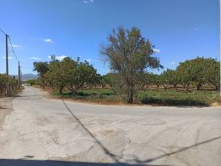 GONIAKO AGROTEMACHIO ME PROSOPSE 21 m. SE AGROTIKE ODO