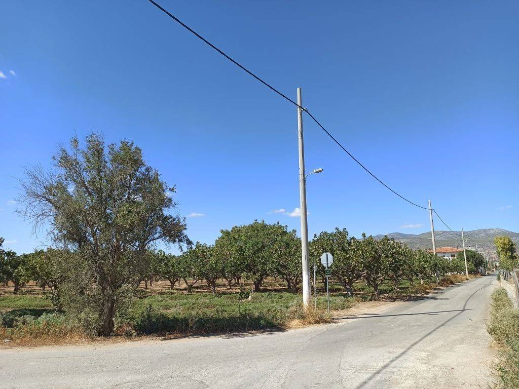 GONIAKO AGROTEMACHIO ME PROSOPSE 110 m. SE KYRIA DEMOTIKE ODO