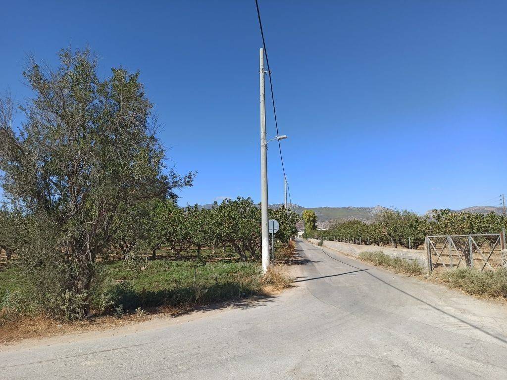 GONIAKO AGROTEMACHIO ME PROSOPSE 110 m. SE KYRIA DEMOTIKE ODO