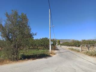 GONIAKO AGROTEMACHIO ME PROSOPSE 110 m. SE KYRIA DEMOTIKE ODO