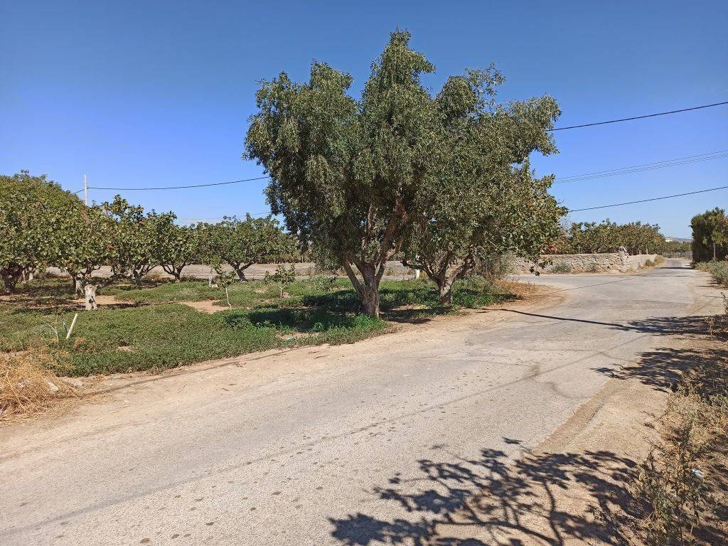 GONIAKO AGROTEMACHIO ME PROSOPSE 21 m. SE AGROTIKE ODO