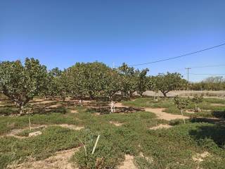 TMEMA TOY AGROTEMACHIOY