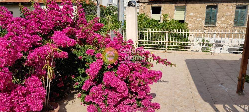 Ανελκυστήρας