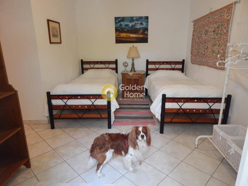 Ανελκυστήρας