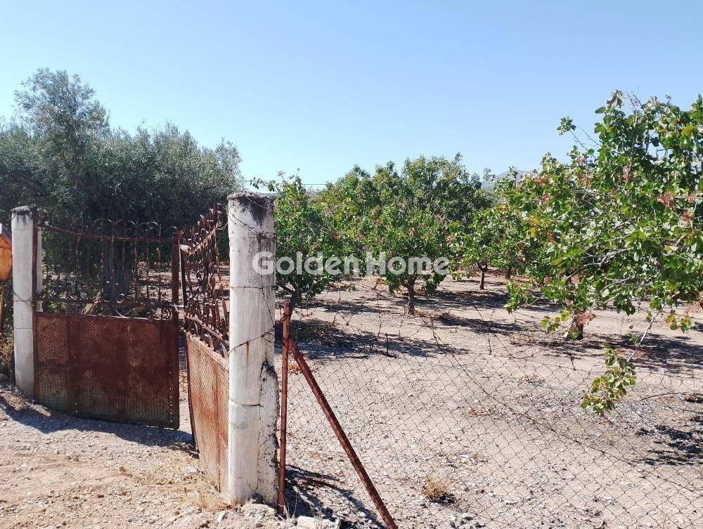 Εξωτερικός Χώρος