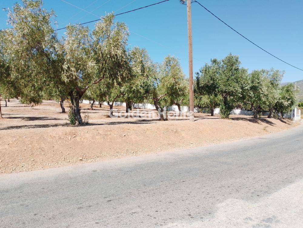 Εξωτερικός Χώρος