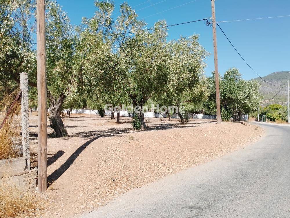 Εξωτερικός Χώρος