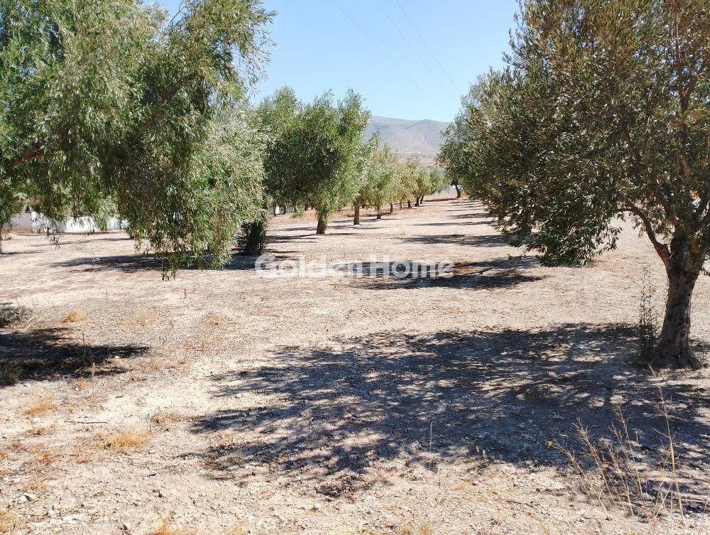 Εξωτερικός Χώρος