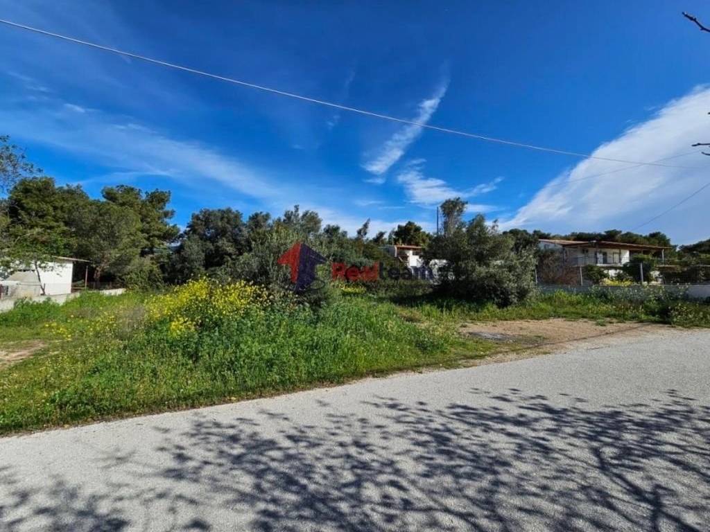 Εξωτερικοι χώροι