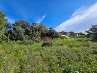 Εξωτερικοι χώροι