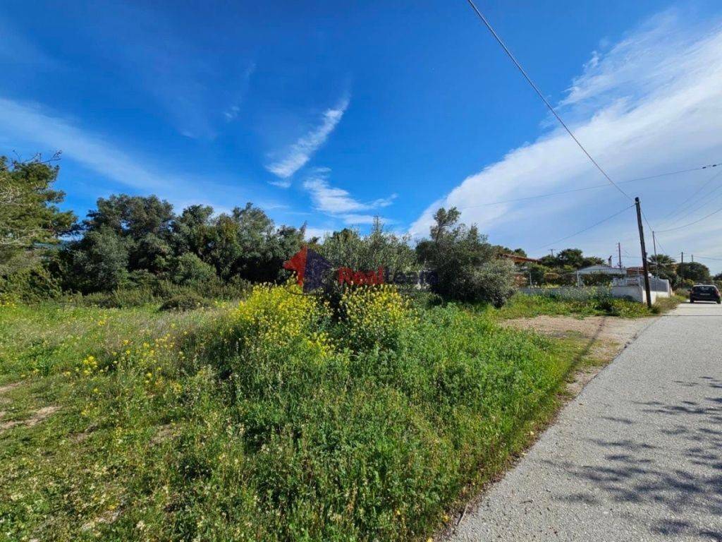 Εξωτερικοι χώροι