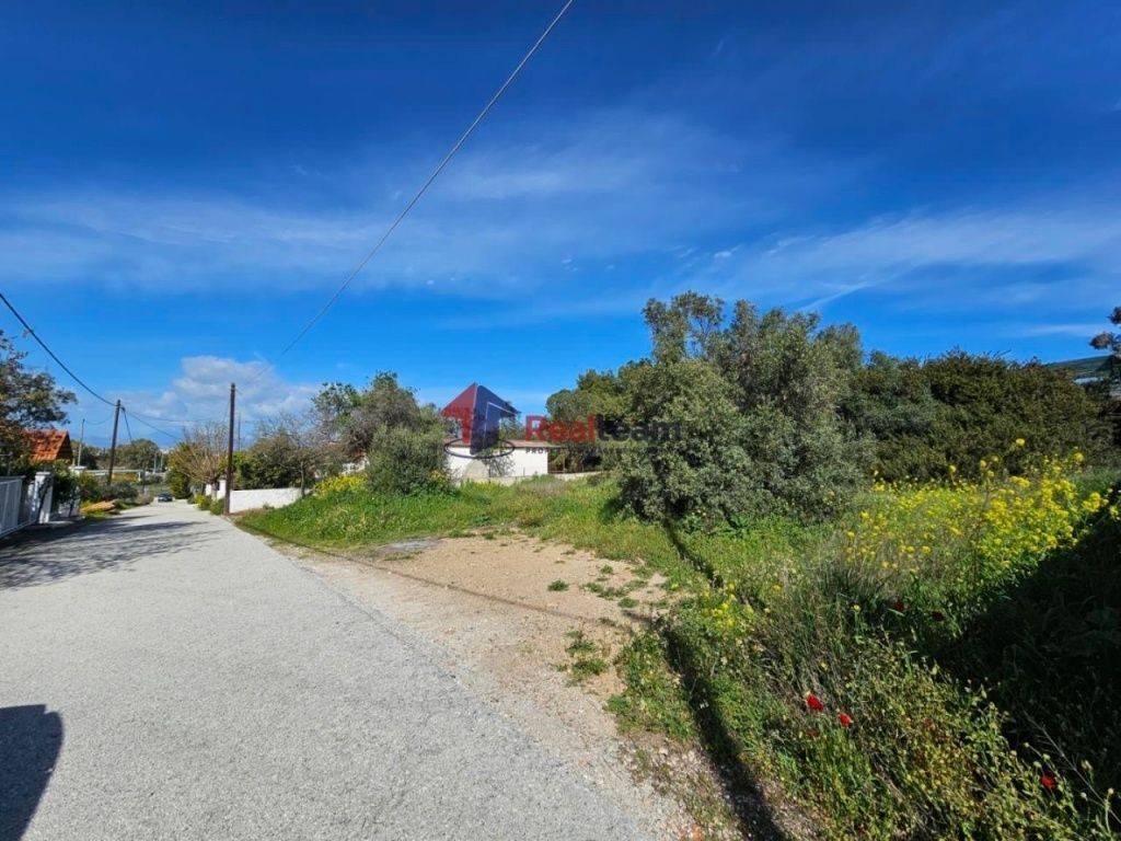 Εξωτερικοι χώροι