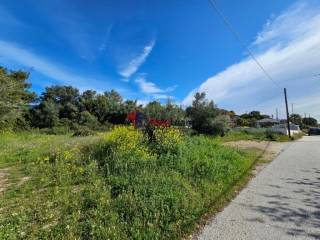 Εξωτερικοι χώροι