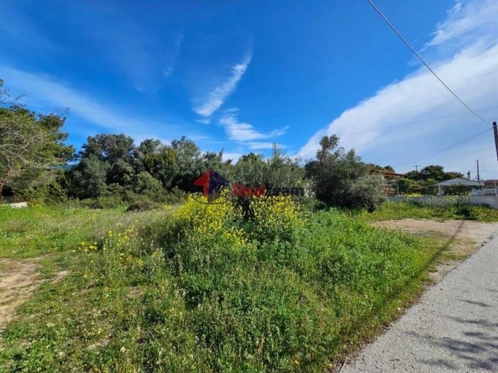 Εξωτερικοι χώροι