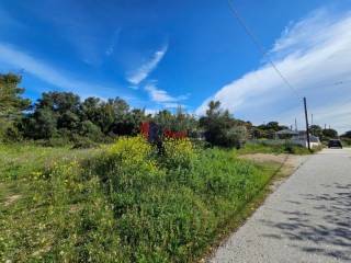 Εξωτερικοι χώροι