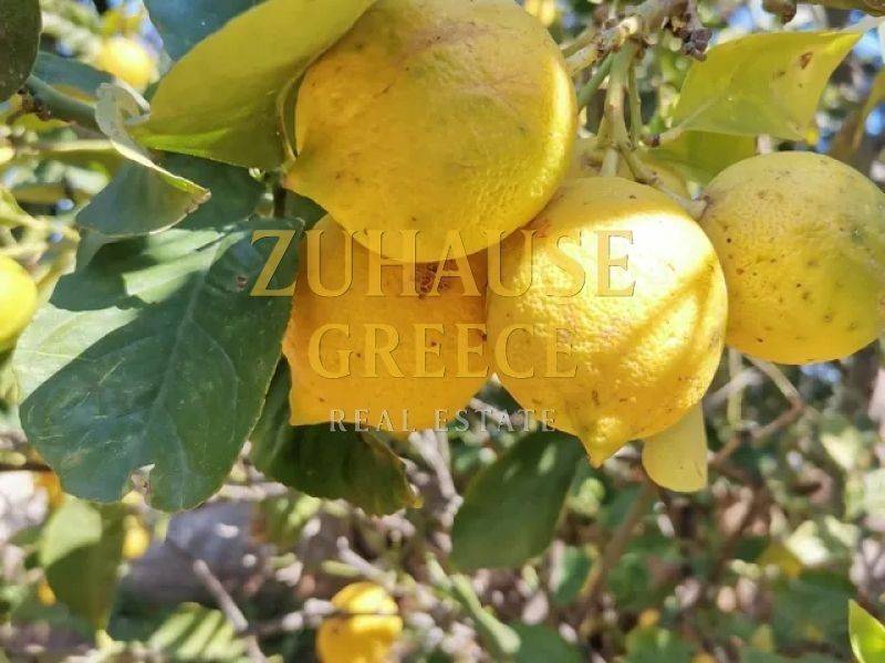 Ύπαρξη ανθρώπου