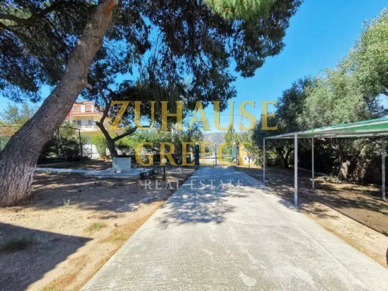 Ύπαρξη ανθρώπου