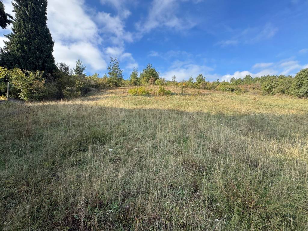 Topothesia,thea oikopedoy