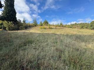 Topothesia,thea oikopedoy