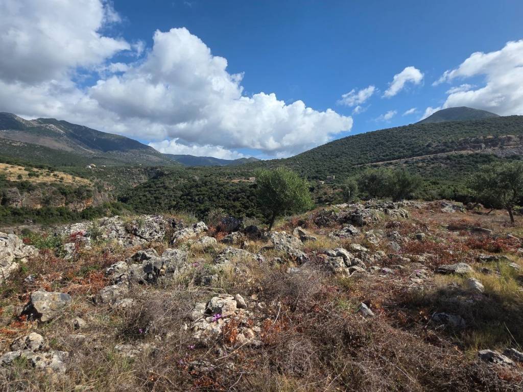 view towards Milea from the plot