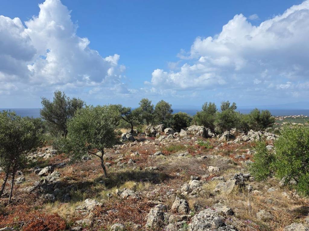 View towards Pantazi &amp; Agios Nikolaos from the plot