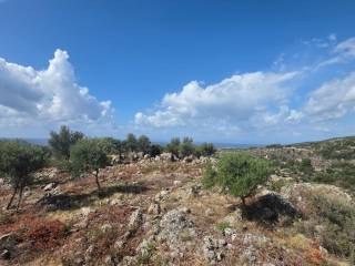 Plot with the view towards the sea beyond from the plot