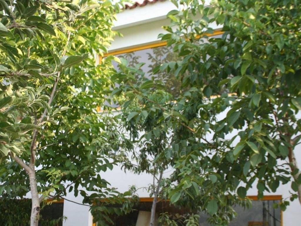 Εξωτερικός χώρος