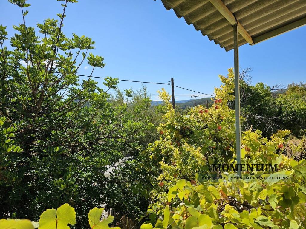 Εξωτερικοι χώροι